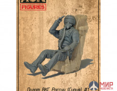 ASK48001A ASK 1/48 Пилот ВКС России (Сирия) №1 (расширенный набор)