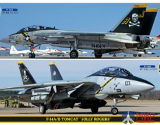 52146 Hasegawa 1/72 Cамолет F-14A/B TOMCAT "JOLLY ROGERS" (Two kits in the box)