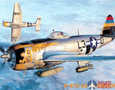 09140 Hasegawa 1/48 Самолет  P-47D-25 THUNDERBOLT