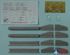 NS48006 North Star Models 1/48  Kh-29 T (NATO AS-14 Kedge B) with AKU-59 (pylon)