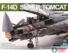 K48003 AMK 1/48 F-14D Super Tomcat Special Edition