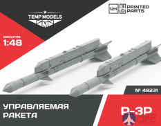 48231 Temp models 1/48 Управляемая ракета Р-3Р