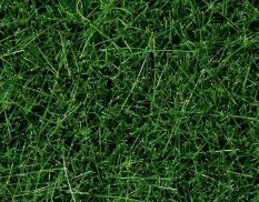 07106 NOCH Трава темно-зеленая (флок ~6 мм ~50 гр.)
