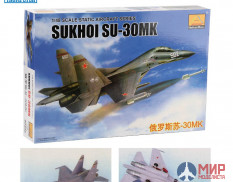 80308 MiniHobbyModels SU-30MK