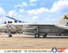 02406 Hasegawa 1/72 Истребитель ВМС США F-14D Tomcat "VF-213 Blacklions Last Cruise"