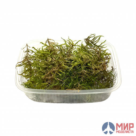 30119 DASmodel сорняковые растения