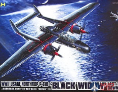 L4810 Great Wall Hobby 1/48 Northrop P-61B Black Widow WWII USAAF - Last Shoot Down 1945