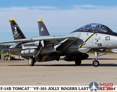 02434 Hasegawa F-14B TOMCAT VF-103 JOLLY ROGERS LAST FLIGHT 2004 Limited Edition