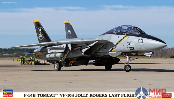 02434 Hasegawa F-14B TOMCAT VF-103 JOLLY ROGERS LAST FLIGHT 2004 Limited Edition