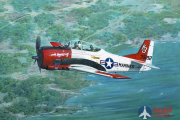 ROD441 Roden 1/48 Самолет North American T-28B