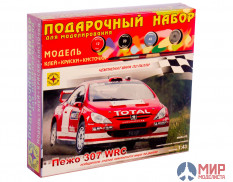 ПН604310 Моделист автомобиль  Пежо 307 WRC (1:43)