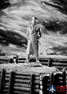 254  Ратник 54 мм Боец  Гудериан  олово