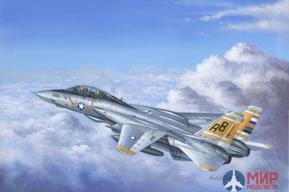 80366 Hobby Boss 1/48 F-14A Tomcat