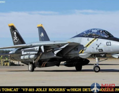 52199 Самолет F-14B TOMCAT "VF-103 JOLLY ROGERS" w/HIGH DETAIL NOZZLE PARTS (HASEGAWA)  1/72