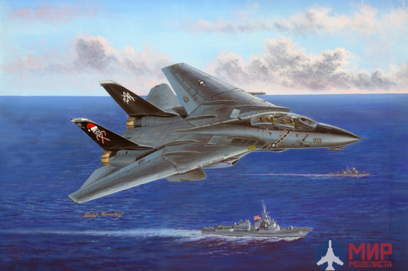 80367 Hobby Boss Самолет  F-14B Tomcat 1/48