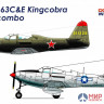 DW7201D Dora Wings 1/72 Bell P-63C/E Kingcobra Dual combo (2 in 1)