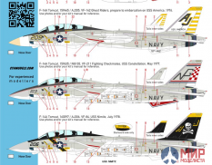 CTA046 Cut then Add 1/144 "Colorful Tomcats" - Early F-14A, 4 marking options: VF-1, VF-142, VF-211,