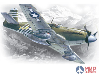 48161 ICM 1/48 Самолет P-51A USAF