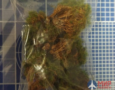 3031/8 DASmodel Придорожные растения еловые 5 шт