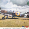 08247 Hasegawa Самолет Spitfire Mk.IIa Douglas Bader with figure 1/32